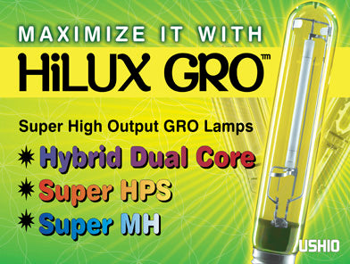 Ushio Super HPS (High Pressure Sodium) Lamp, 400W